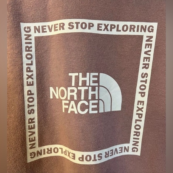 The North Face Fawn Women's Box Design Never Stop Exploring NSF Hoodie L - Picture 6 of 11